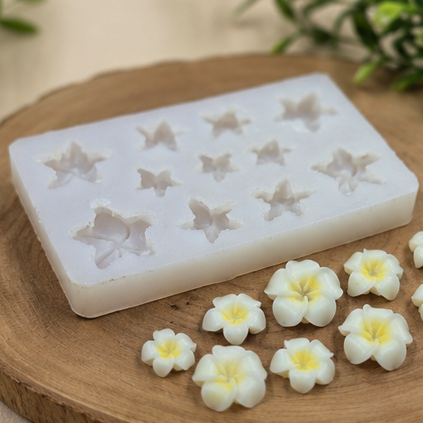 Frangipani Flower Mould CFM312(own)