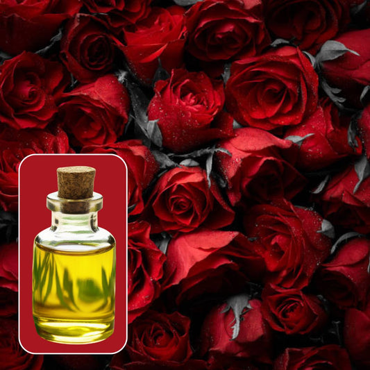 Dark Red Rose (Most Loved, Flowery) Fragrance  FO028