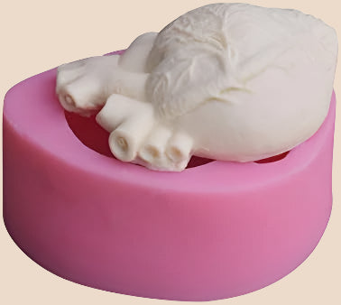 Human Heart Mold WCM589
