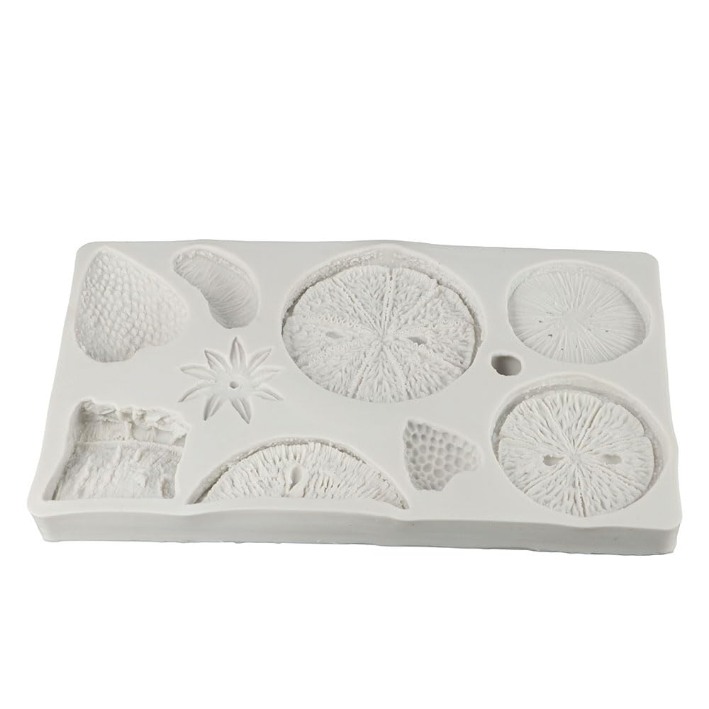 Fruit Slices CFM221