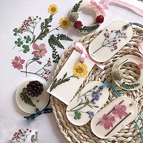 6 in 1 Wax Sachet SSM156