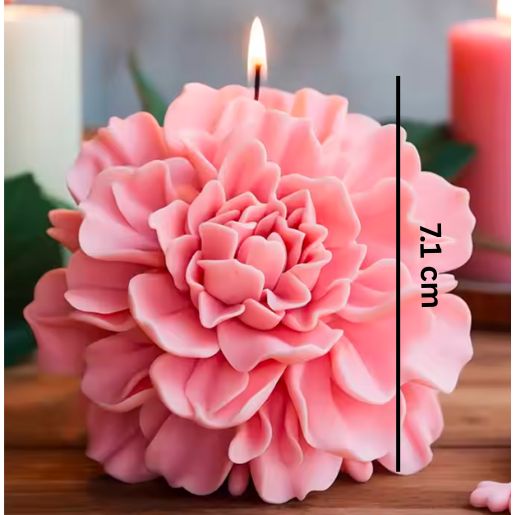 Carnation Big WCM692