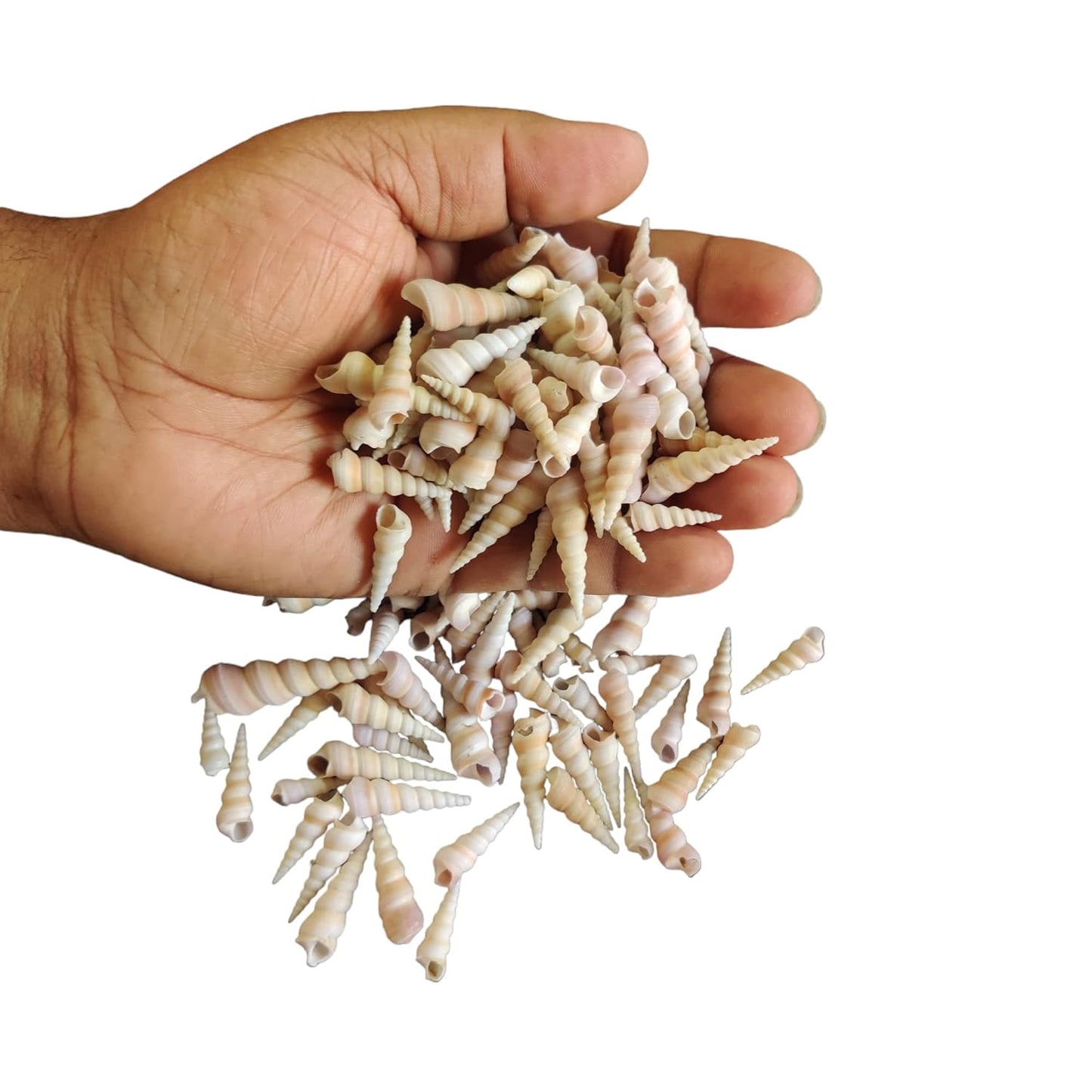 SHELL Pack is of 100g ARA021