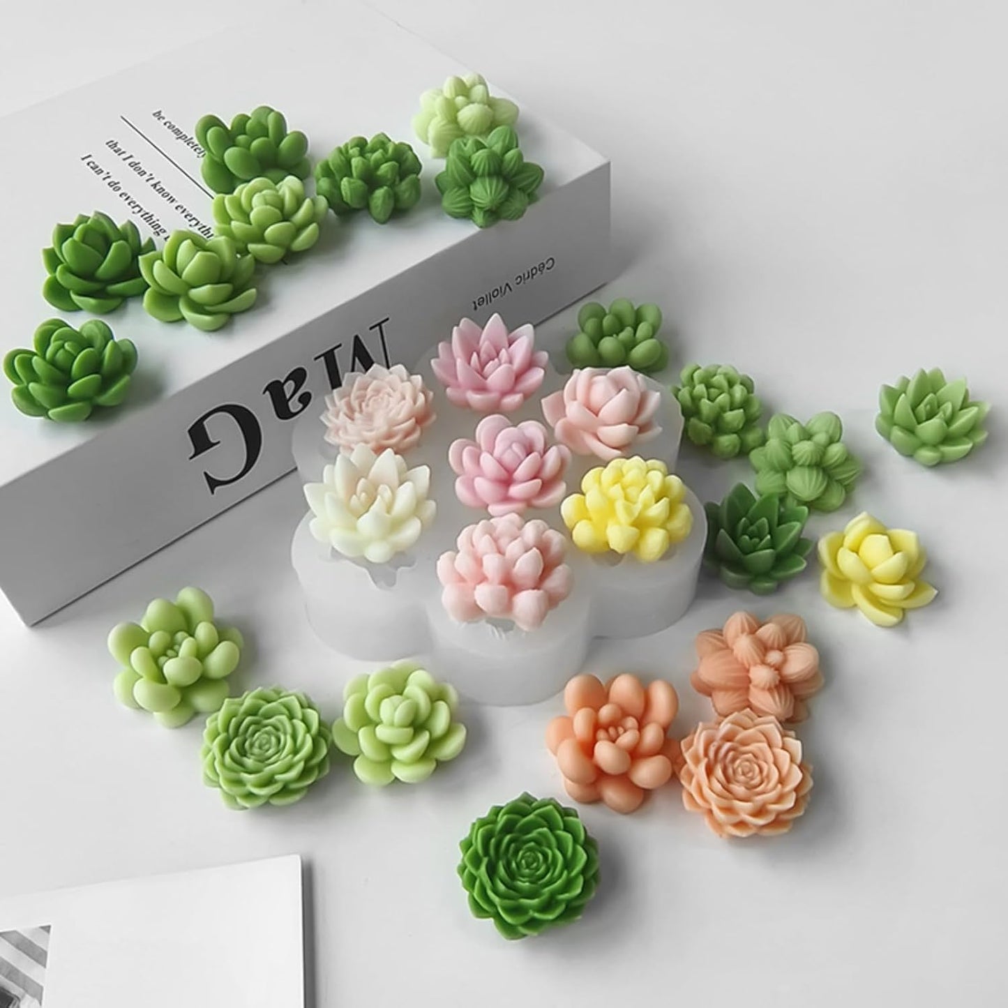Cactus Decor 7 CFM265
