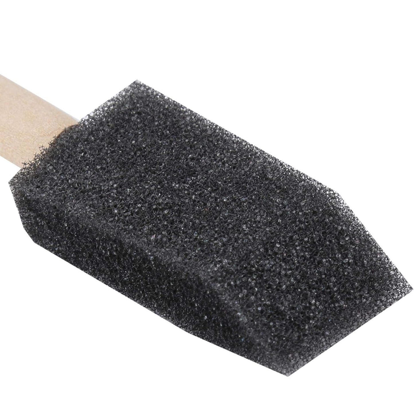 Foam Brush Set of 6 NT018