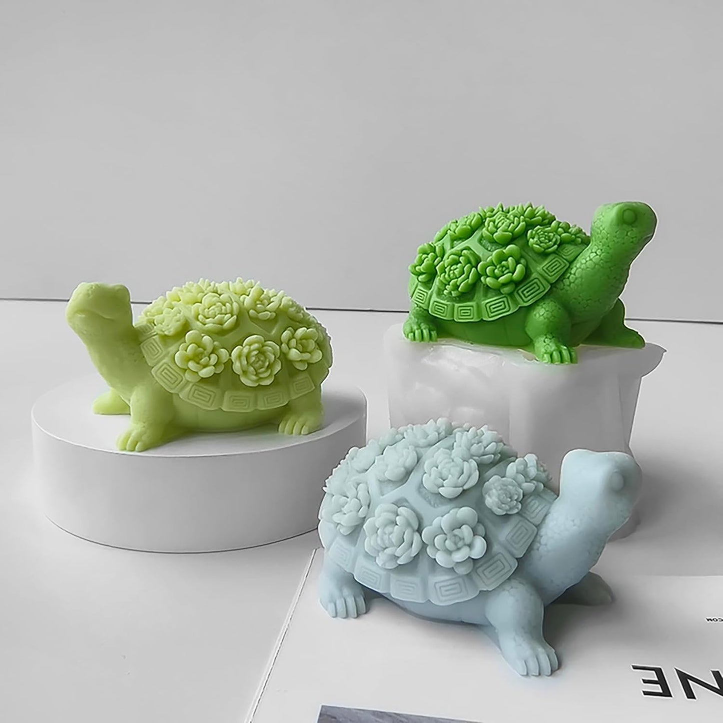 Tortuga Mould WCM672