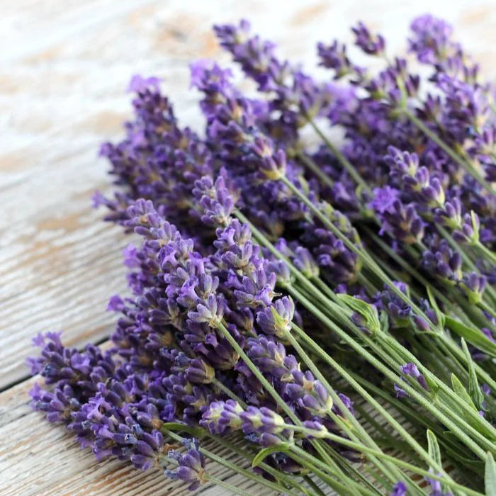 Lavender Oil Essential Oil EO008