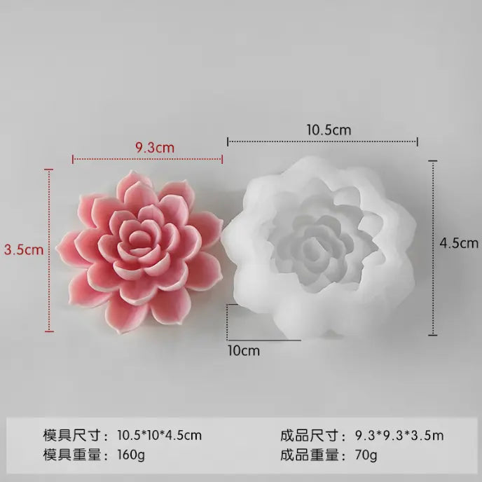Rose/Succulent design WCM577