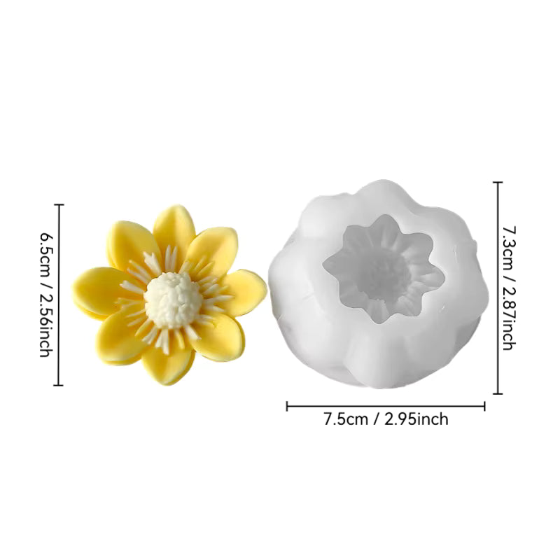 Starburst Daisy Embed WCM754(OWN)