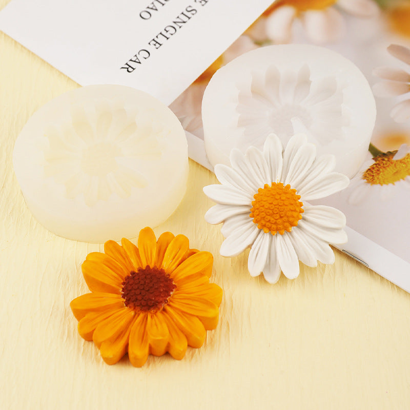 Yellow Daisy WCM246 (OWN)