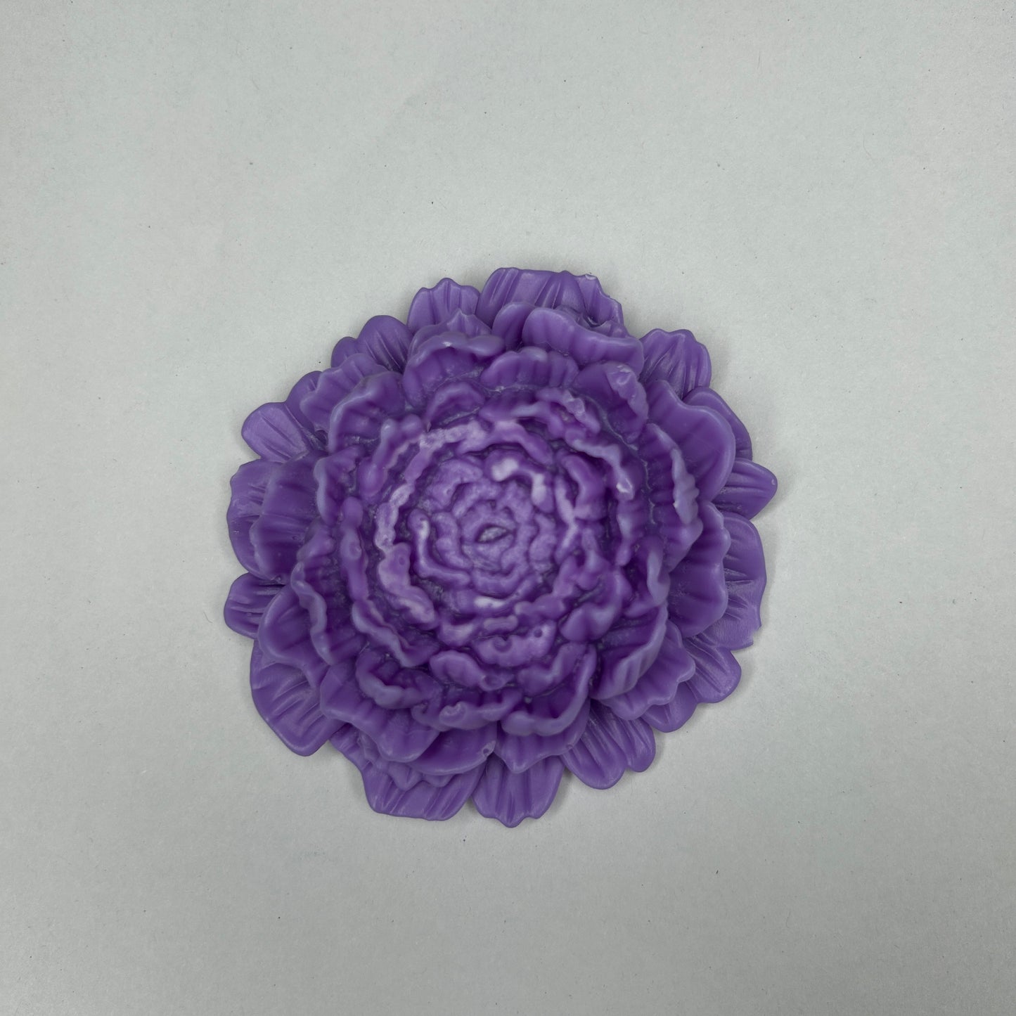 Petal Peony WCM713