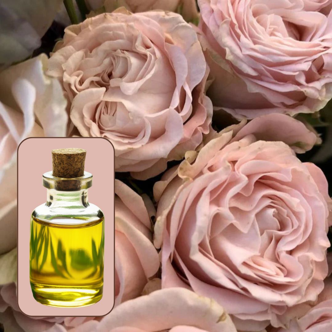 Rose Sparkle Fragrance FO080