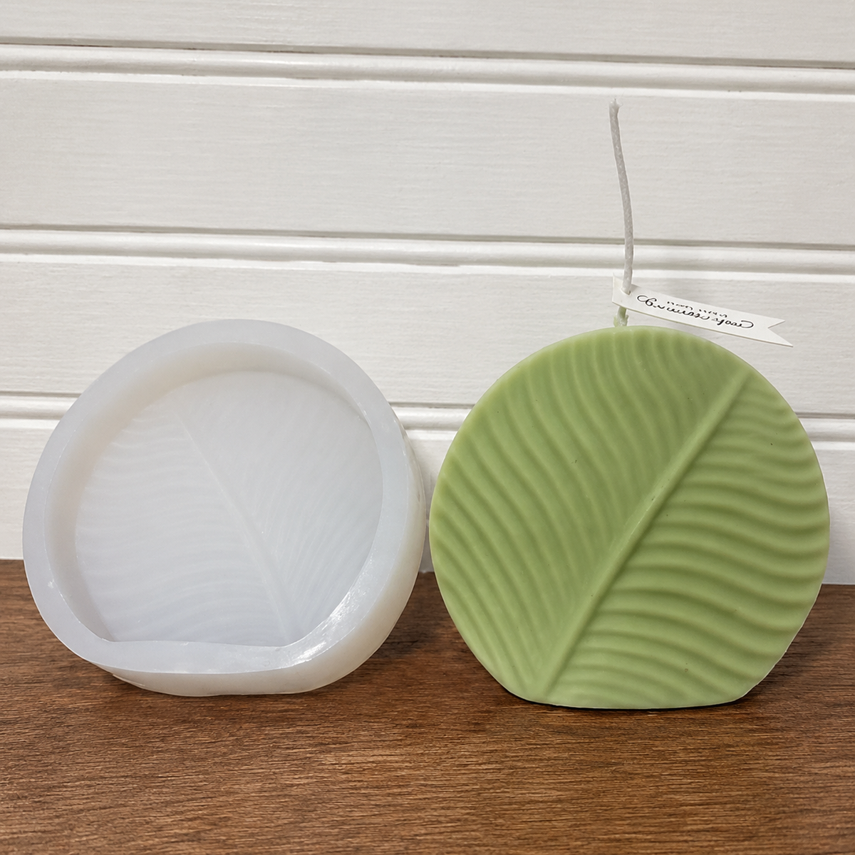 Round leaf WCM134 (OWN)
