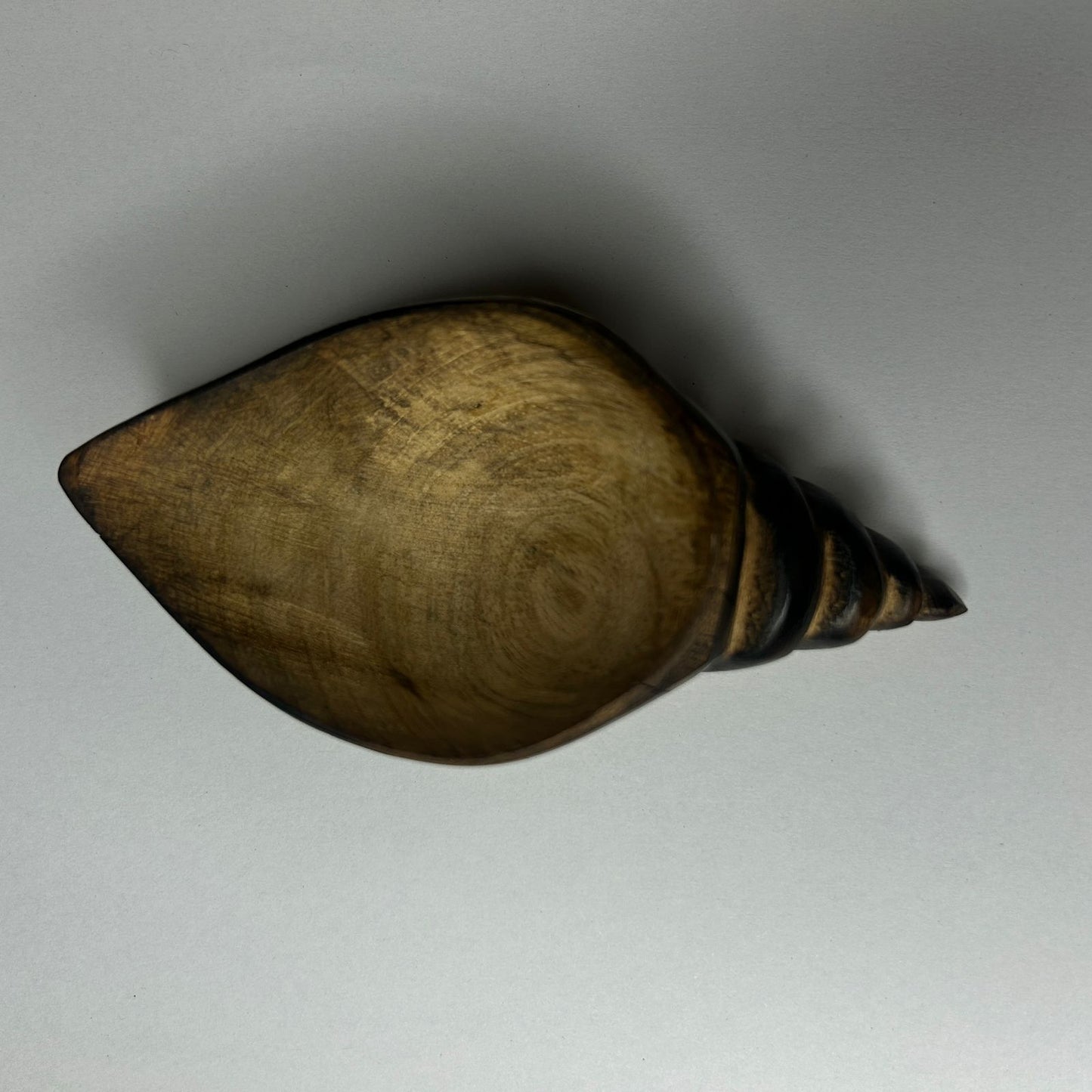 Shell Wooden Bowl WC021