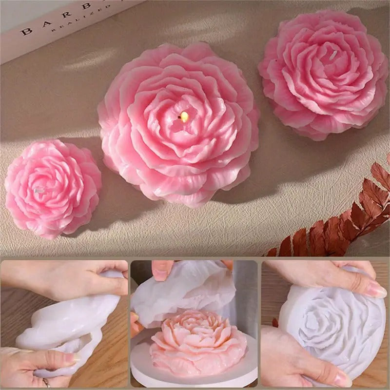 Peony Bloom WCM214