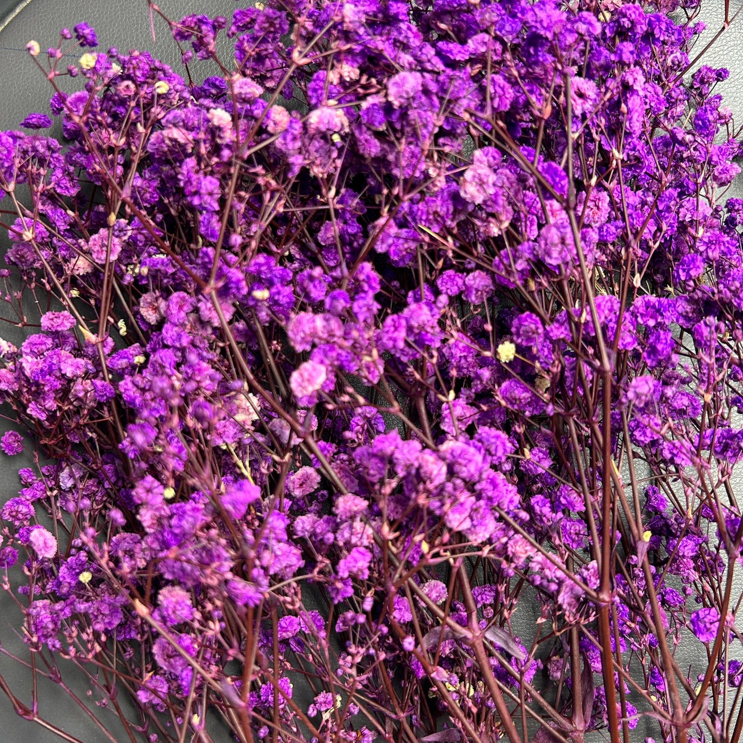 Baby Breath *Bunch* Flower 100 gram ADF046 to ADF050
