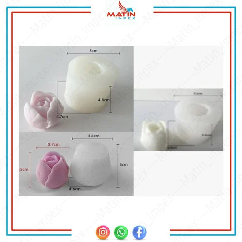 3 piece tulip set WCM559