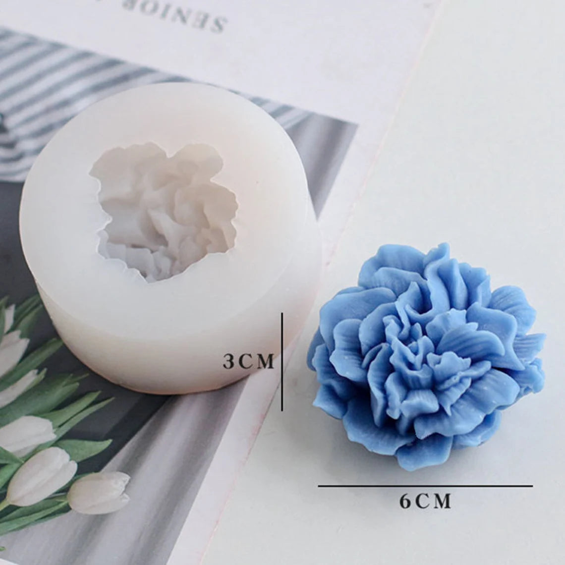 Carnation Flower WCM413 (OWN)