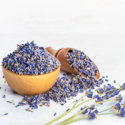 Dried Lavender Buds DP004