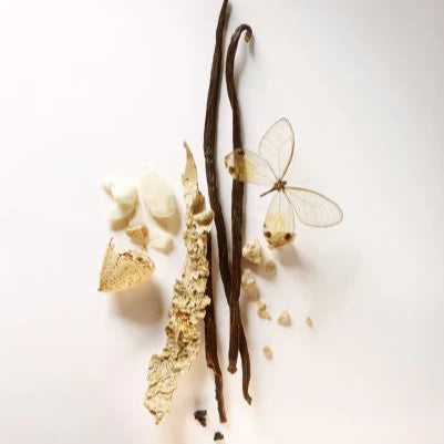 Vanilla (Sweet) Fragrance FO035