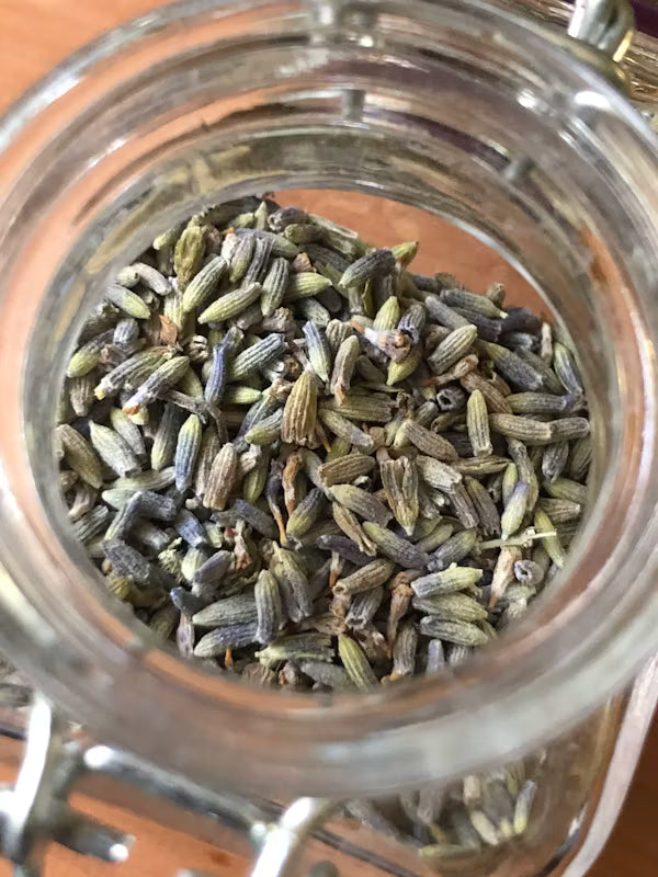 Dried Lavender Buds DP004