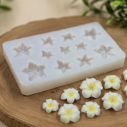 Frangipani Flower Mould CFM312(own)