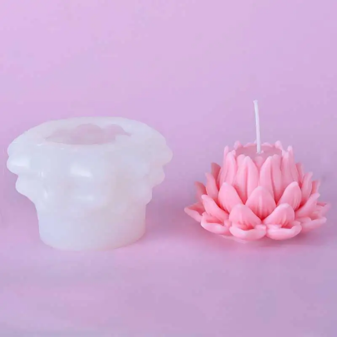 New Lotus Charming WCM769