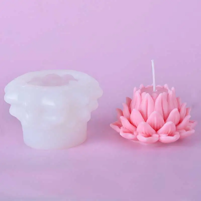 New Lotus Charming WCM769