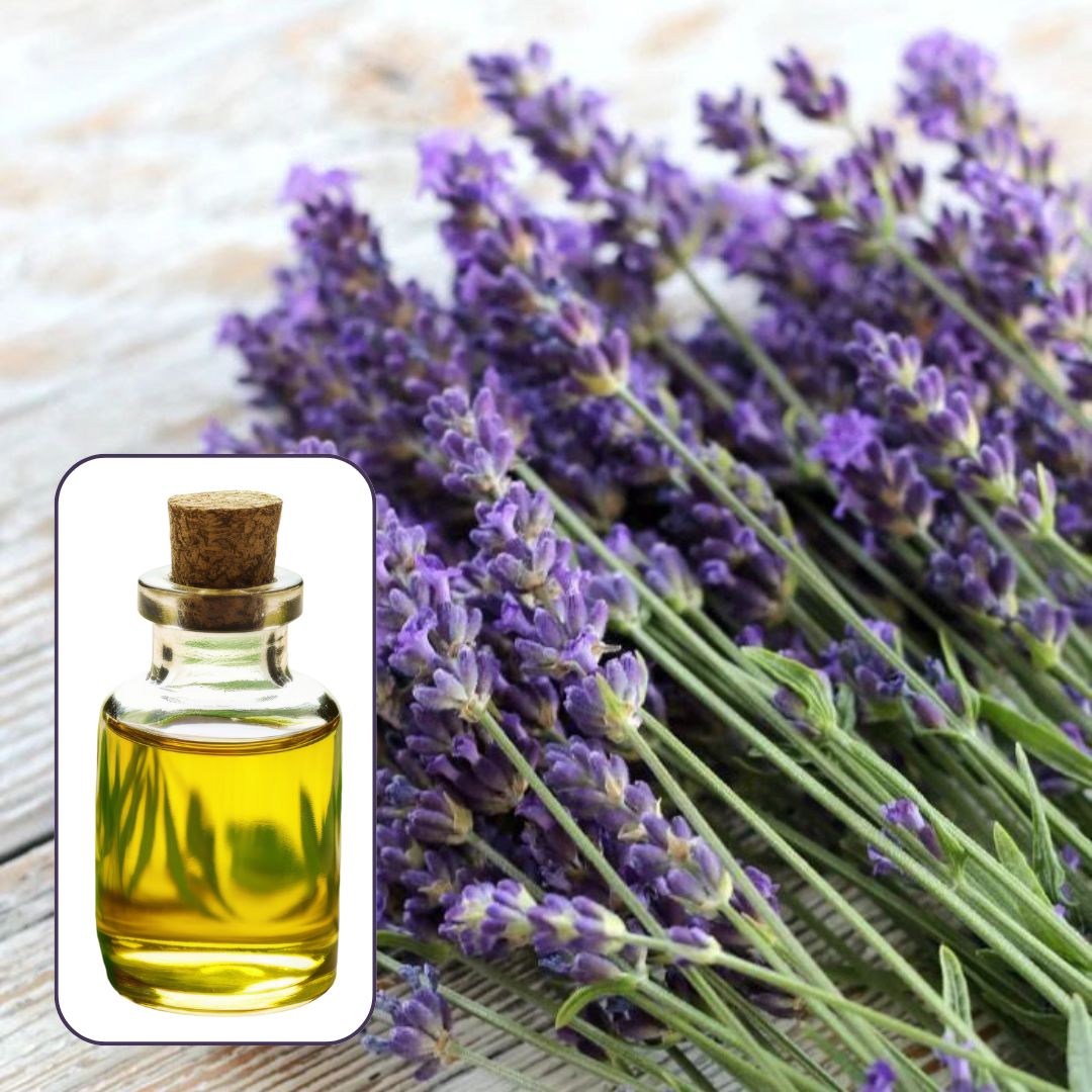 Lavender Oil Essential Oil EO008