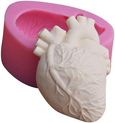 Human Heart Mold WCM589