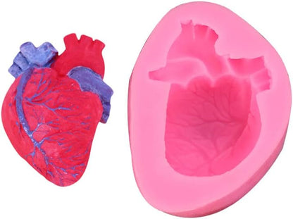 Human Heart Mold WCM589