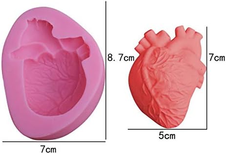 Human Heart Mold WCM589