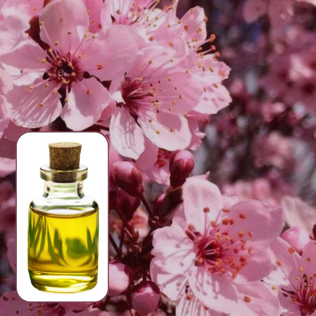 Japanese Cherry (Fruity) Fragrance FO043