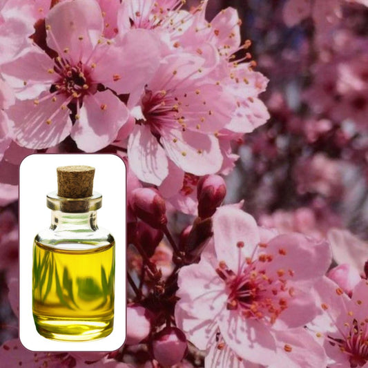 Japanese Cherry (Fruity) Fragrance FO043