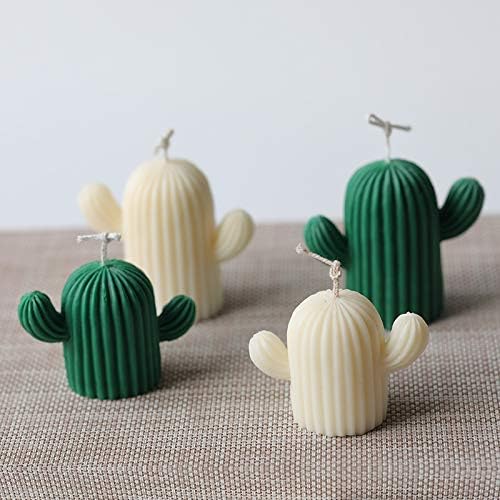 Desert Cactus Big WCM051