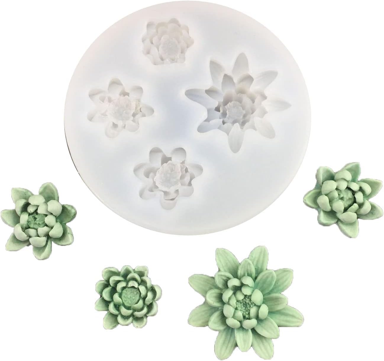 Pond wild lotus Mould CFM377(own)