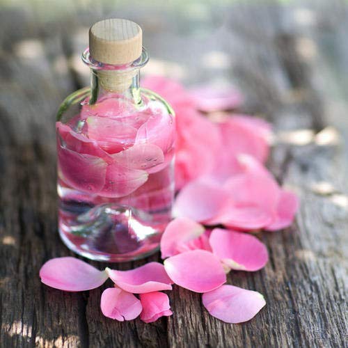 Rose Water Regular RB006