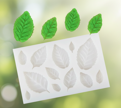 Leaf CFM077(own)