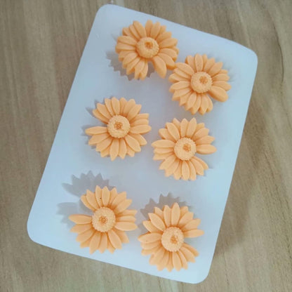 Assorted Daisy CFM123