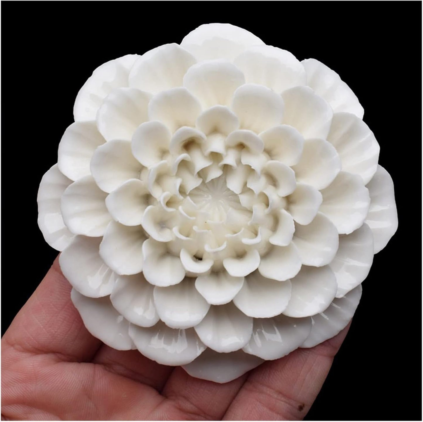 Dahlia Flower WCM229