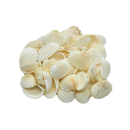 SHELL Pack is of 100g ARA001