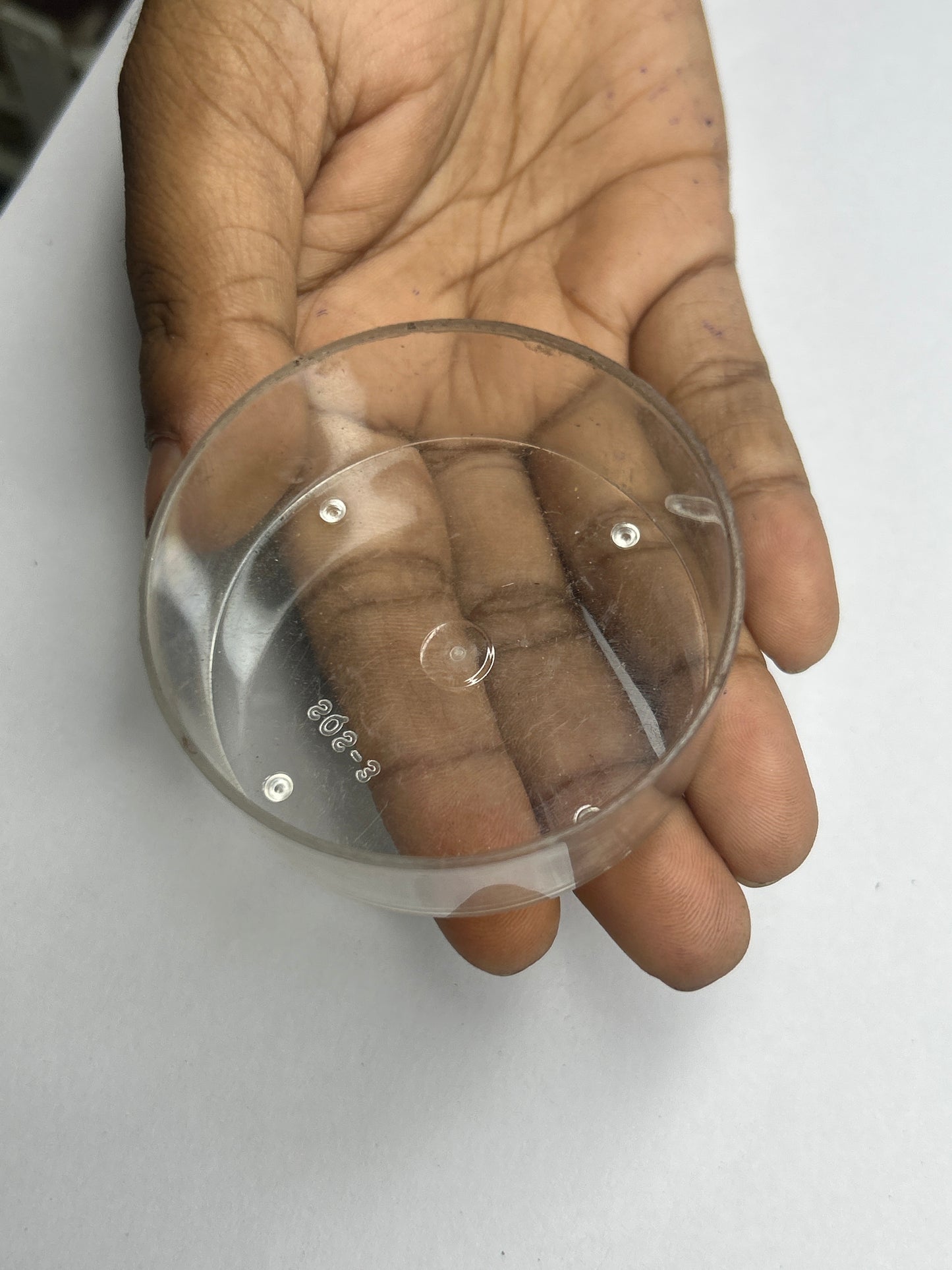 Polycarbonate T-Light 50 PCS