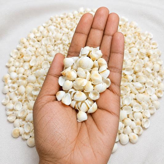 SHELL Pack is of 100g | ARA001