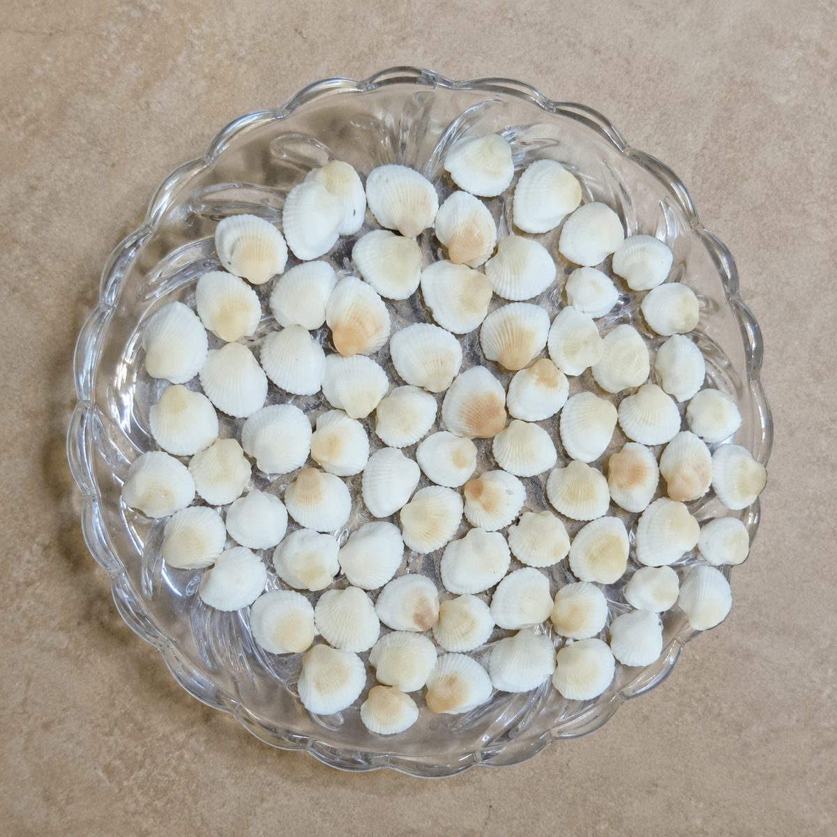 SHELL Pack is of 100g | ARA001