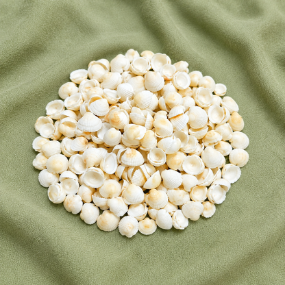 SHELL Pack is of 100g | ARA001