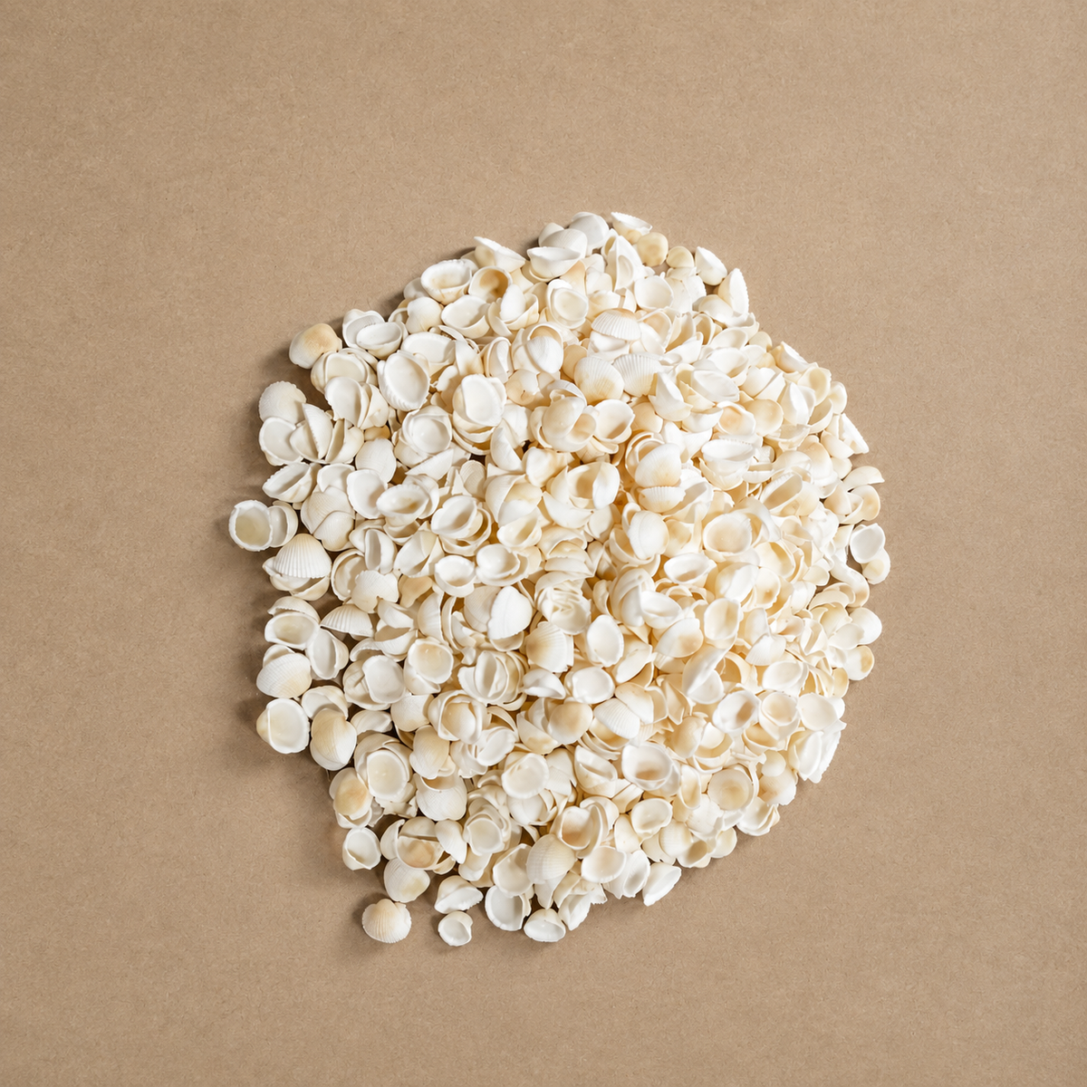 SHELL Pack is of 100g | ARA001