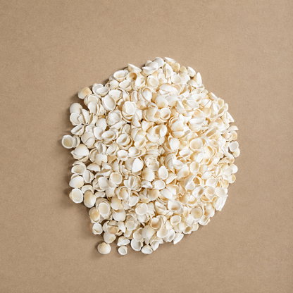 SHELL Pack is of 100g | ARA001
