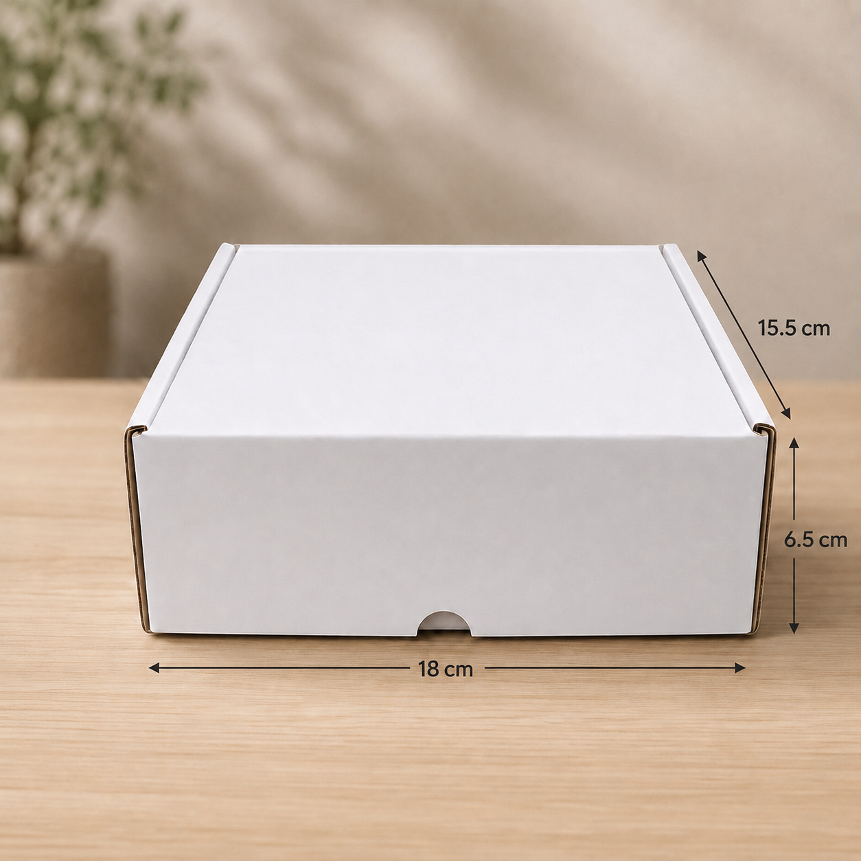 White Kraft Pizza Box