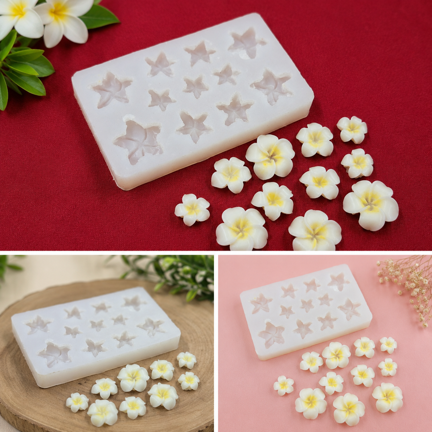Frangipani Flower Mould CFM312(own)