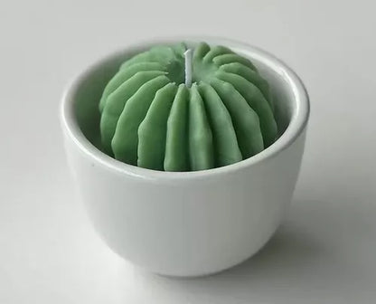 Cactus Ball WCM078 - MATIN IMPEX